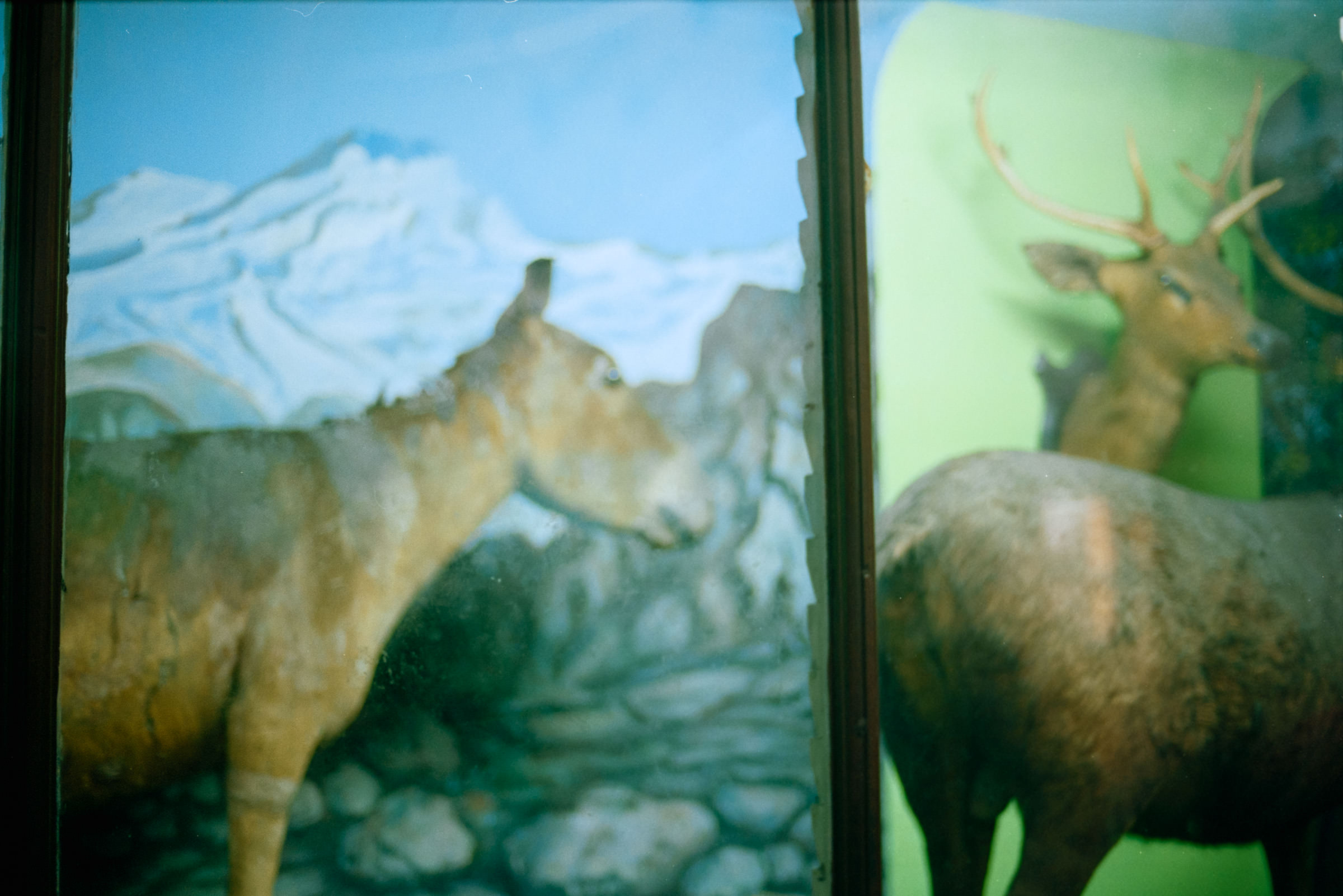 AHP film 2005 01 001 sc240825 img19 NLP